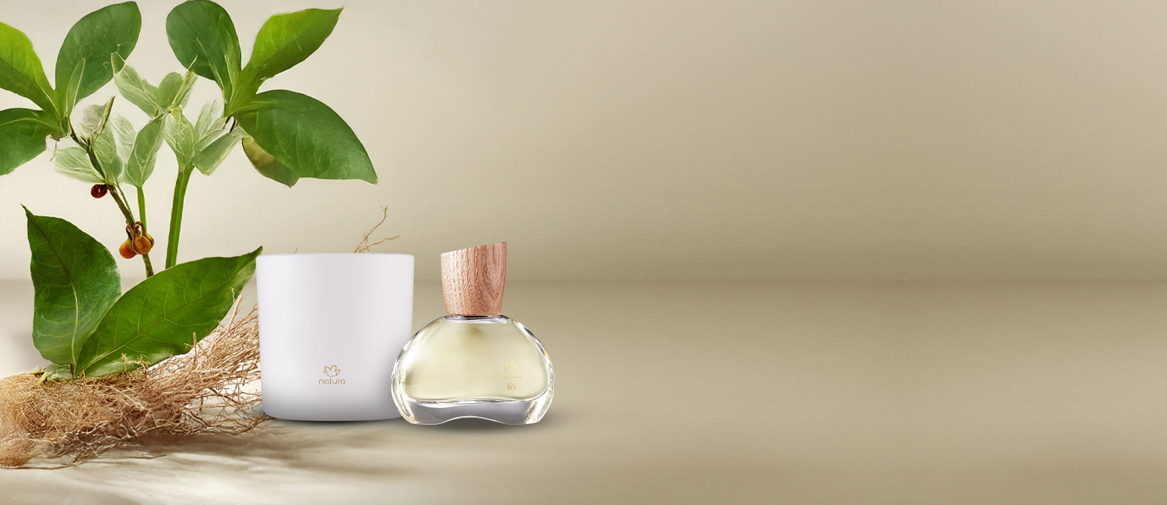 Kit Eau de Parfum Natura 875 Vetiver Capitiú e Vela Perfumada 774 Rosa Capitiú (2 produtos)