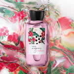 Águas Framboesa Feminino 170 ml