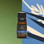 Blend de Óleos Essenciais Equilibrar Bothânica