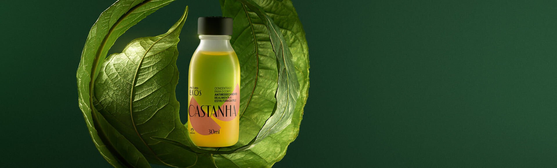 Refil Concentrado Corporal em Creme Ekos Castanha