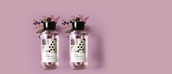 Kit Águas Jabuticaba Feminino (2 produtos)