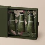 Kit Hidratante para Mãos Natura Bothânica (3 produtos)