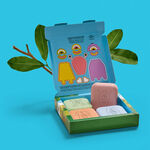 Sabonete em Barra Naturés na Natureza (1 caixa)