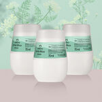 Kit Desodorante Antitranspirante Roll-On Erva Doce