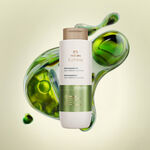 Shampoo Equilibrante Antioleosidade