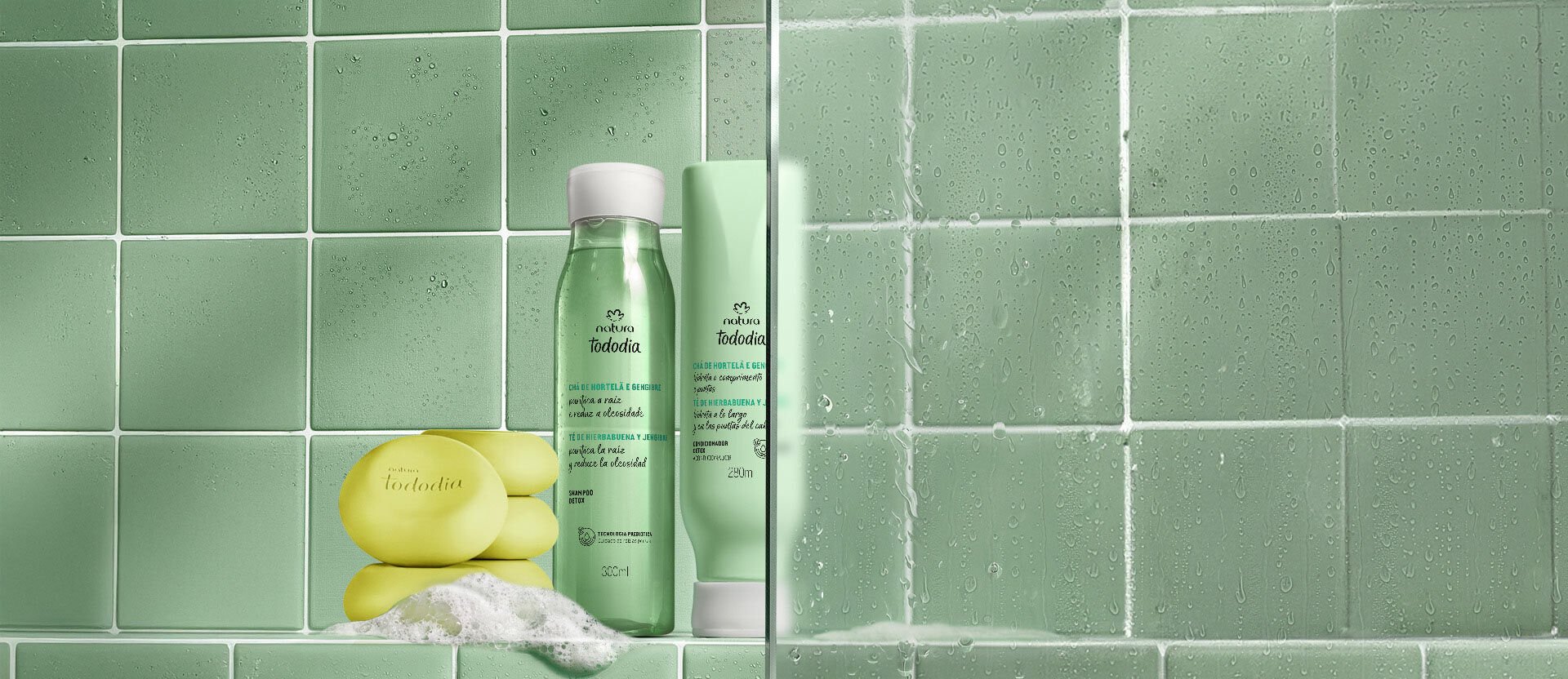 Kit Tododia Antioleosidade e Sabonete (3 produtos)