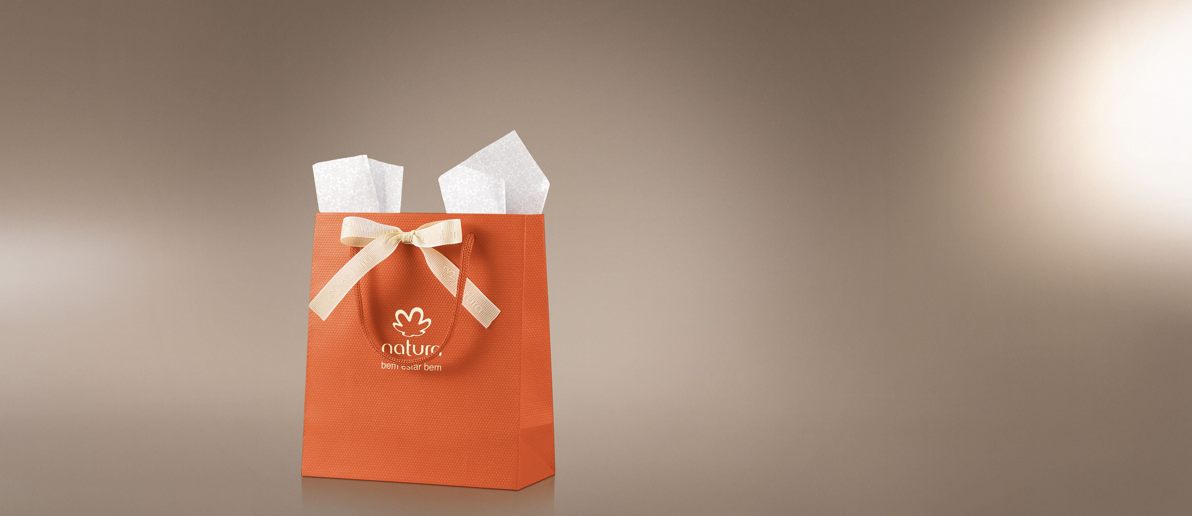 Sacola de Presente Mini com Laço