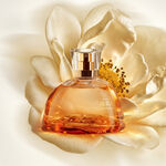 Eau de Parfum Aura Alba Dourada