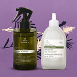 Kit Bothânica Spray para Ambientes Divinus Plantae e Refil (2 produtos)