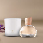 Kit Eau de Parfum Natura 505 Íris Priprioca e Vela Perfumada 774 Rosa Capitiú (2 produtos)