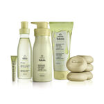 Kit Tododia Pistache Completo (5 produtos)