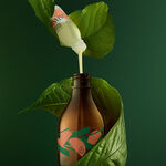 Kit Concentrado Corporal em Creme Ekos Castanha