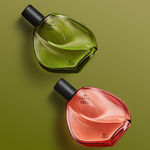 Kit Ekos Ryo Chuva e Ekos Ryo Vivo