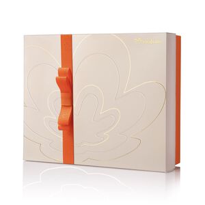 Caixa Especial de Presente Premium