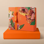 Caixa G Especial Dia das Mães