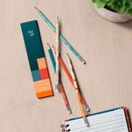 Kit Lápis Grafite Crer Para Ver