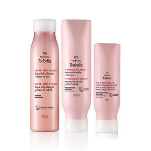 Kit Reparador Tododia Flor de Cereja e Abacate (3 produtos)