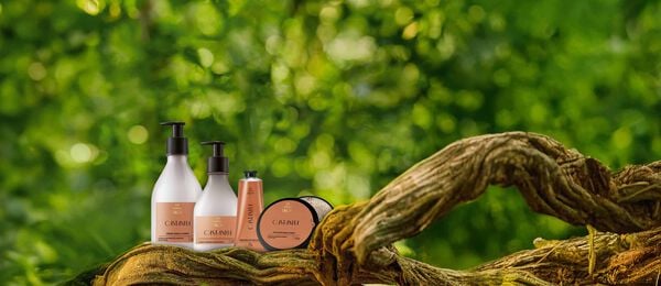 Kit Ekos Castanha Completo