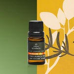 Blend de Óleos Essenciais Energizar Bothânica