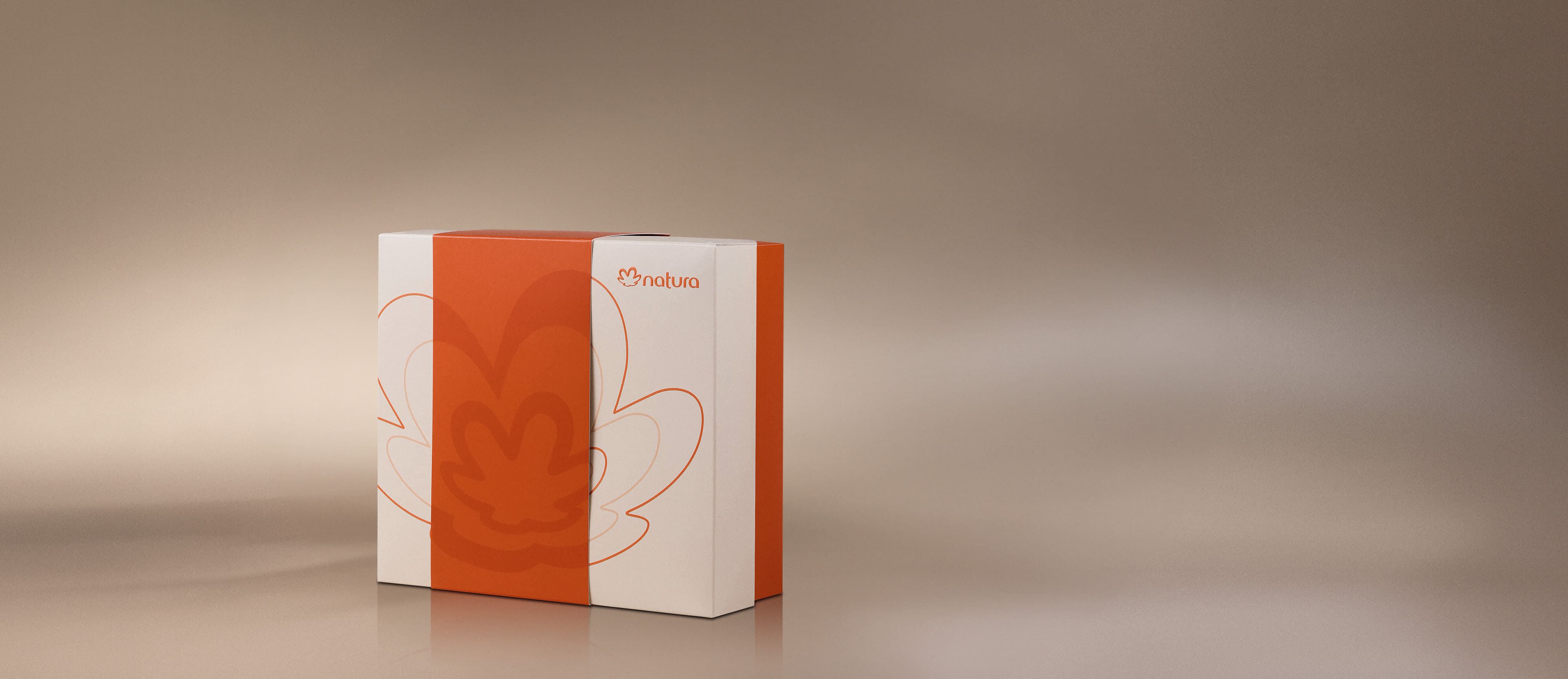 Caixa Especial de Presente P