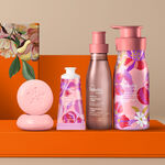 Presente Dia das Mães Tododia Flores