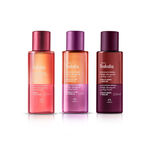 Kit Óleo Bifásico Corporal Tododia Cereja Negra, Ameixa e Flor de Baunilha e Cereja e Avelã (3 produtos)