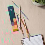 Kit Lápis Grafite Crer Para Ver