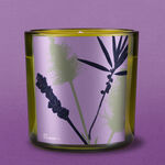 Vela Natura Bothânica Divinus Plantae