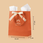 Sacola de Presente Mini com Laço