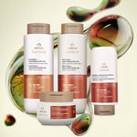 Kit Lumina Nutrição e Reparação (4 produtos)