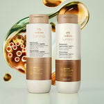 Kit Lumina Antissinais Regenerador Capilar Shampoo e Condicionador (2 produtos)