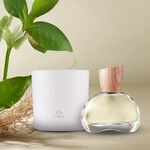 Kit Eau de Parfum Natura 875 Vetiver Capitiú e Vela Perfumada 774 Rosa Capitiú (2 produtos)