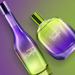 Kit Festival e Conexão de Humor Masculino e Feminino