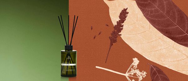 Difusor de Ambiente Natura Bothânica Nobilis Antique