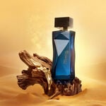 Essencial Oud Feminino 100 ml