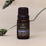 Blend de Óleos Essenciais Equilibrar Bothânica