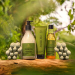 Kit Ekos Andiroba Completo