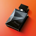 Essencial Estilo Masculino 100 ml