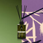 Difusor de Ambiente Natura Bothânica Divinus Plantae