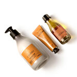 Presente Natura Ekos Castanha (4 produtos)