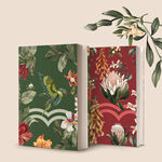 Duo Cadernos Natura Crer Para Ver