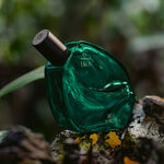 Ekos Ryo Floresta 75 ml