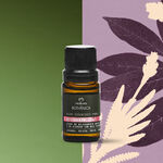 Blend de Óleos Essenciais Restaurar Bothânica