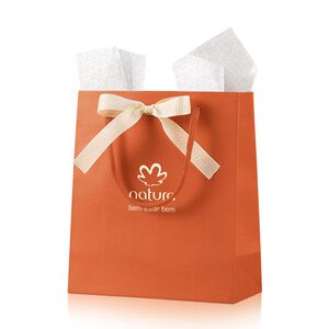 Sacola de Presente Mini com Laço