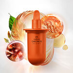 Refil Sérum Intensivo Antioxidante Chronos Derma