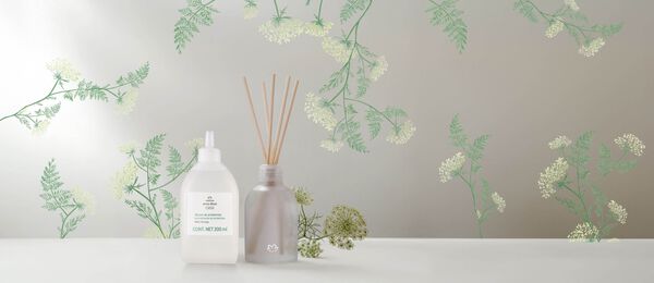 Kit Difusor de Ambientes Erva Doce Casa