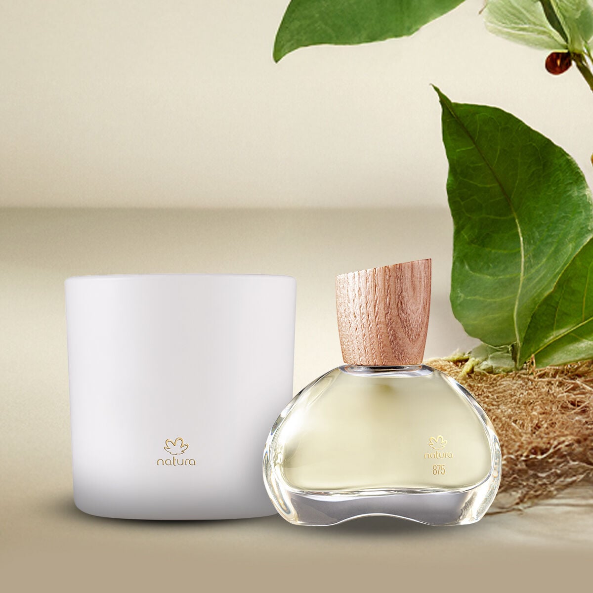 Kit Eau de Parfum Natura 875 Vetiver Capitiú e Vela Perfumada 774