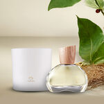 Kit Eau de Parfum Natura 875 Vetiver Capitiú e Vela Perfumada 774 Rosa Capitiú (2 produtos)