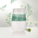 Kit Duo Roll-On Erva doce