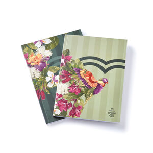 Set Cuadernos Creer para Ver